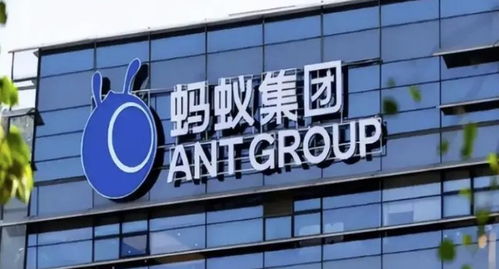 螞蟻集團旗下數(shù)字螞力科技增資至1億，軟件外包服務(wù)能力再獲提升
