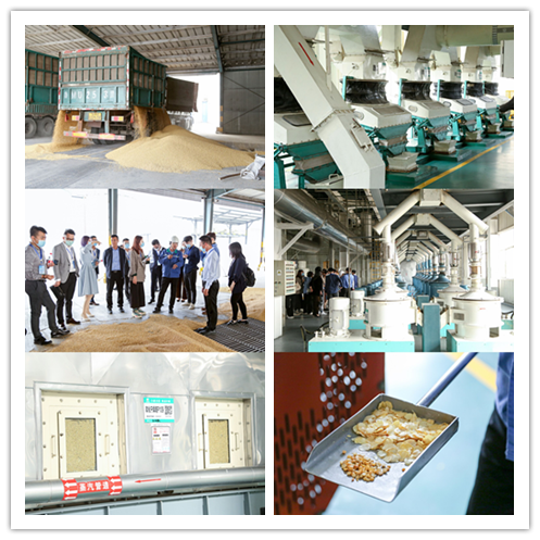 營養健康中國行|伊的家品質溯源之旅山東站圓滿成功 探秘蛋白粉中的氨基酸力量